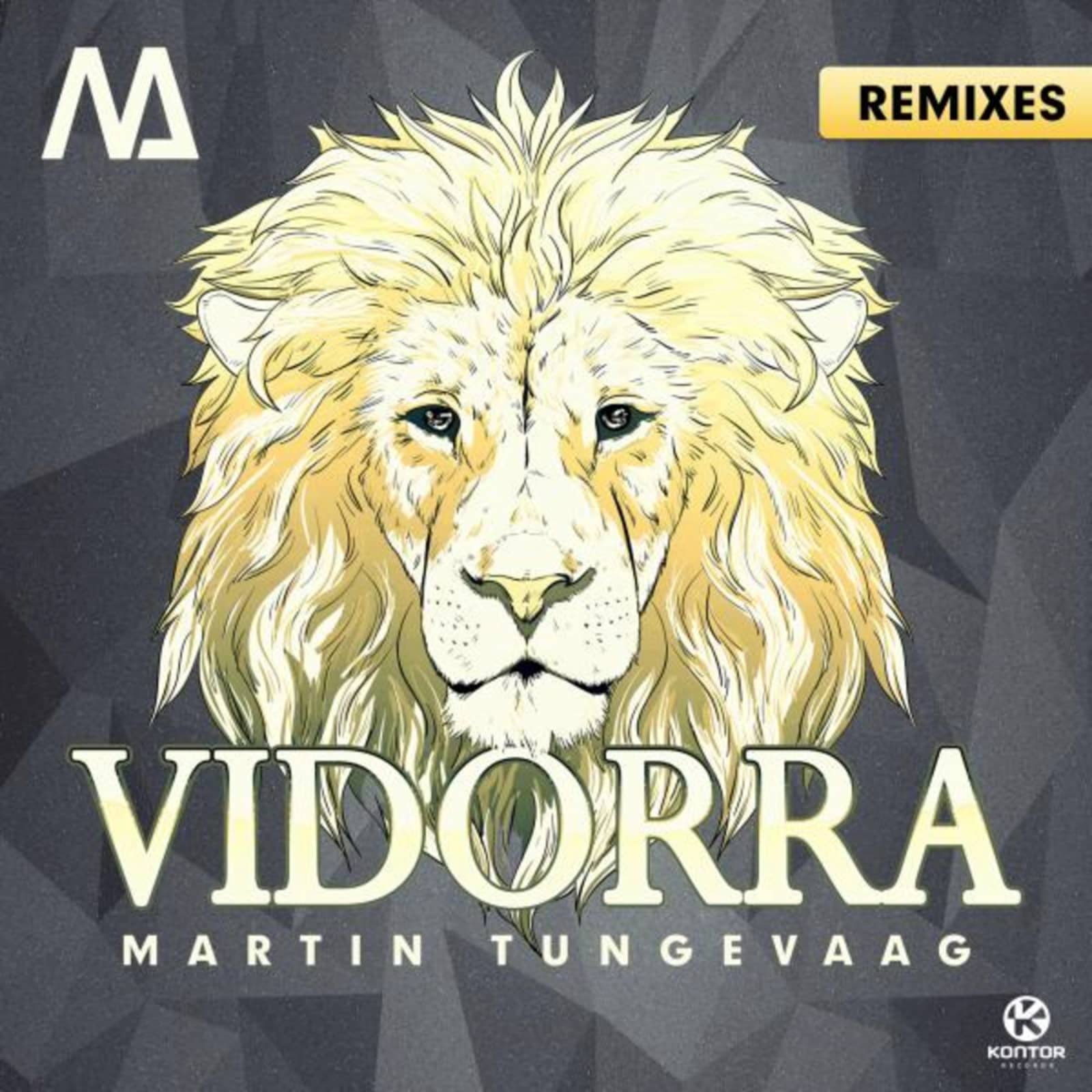 Martin Tungevaag — Vidorra (extended mix)